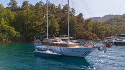 Boat preview